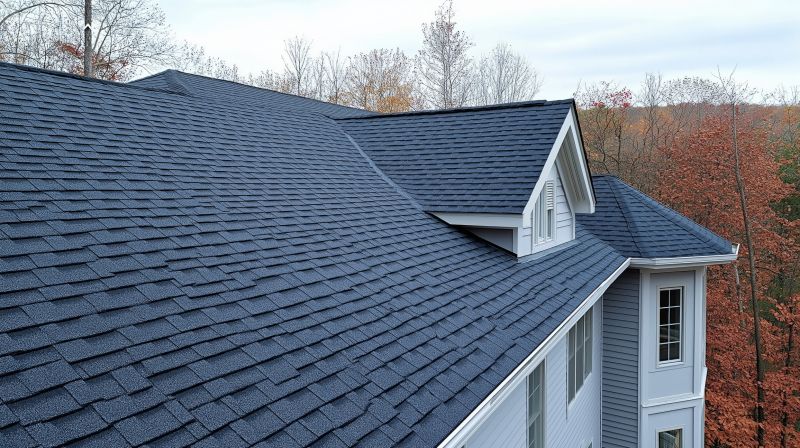 Slate Shingles Repair detail